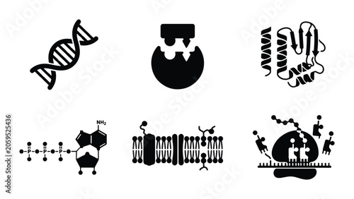 Bild auf Leinwand Biotechnology Icons: DNA, Protein, Enzyme, Lipid, Membrane, Ribosome, Science Ve