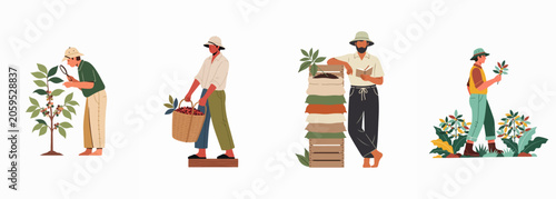 Vector illustrations of coffee farmers harvesting, inspecting plants, and managing sacks in a flat minimalist style for agriculture and production themes.
