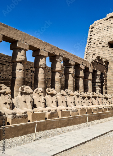 Famous alley of Karnak sphinxes with a Goat heads in Karnak Temple Complex, Luxor, Egypt. 