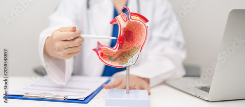 Bilde på lerret Doctor with Gastric anatomy model