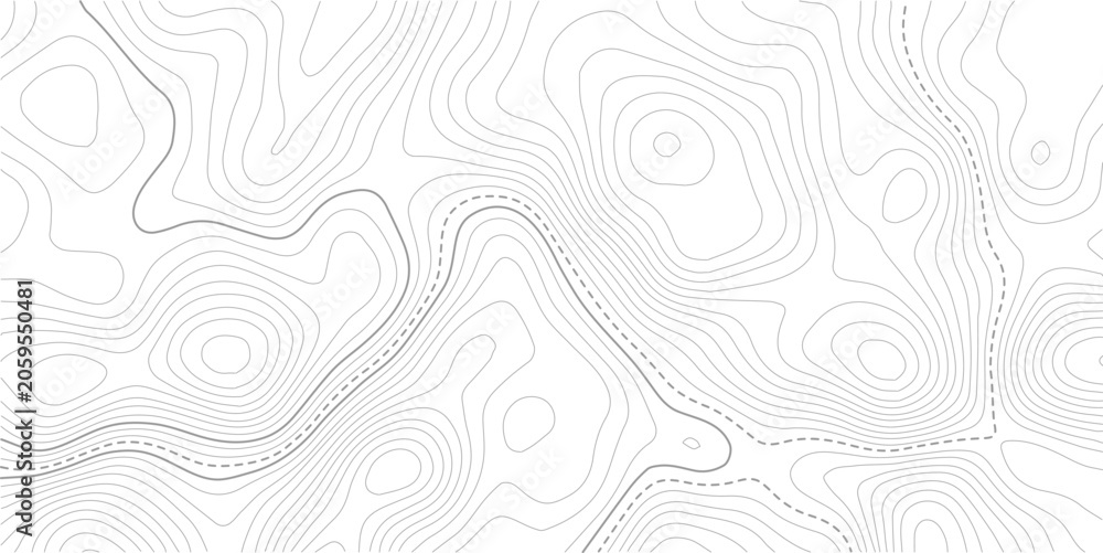 Fototapeta premium Topographic line contour map background, geographic grid map. Abstract vector illustration. Contour vector map. 
