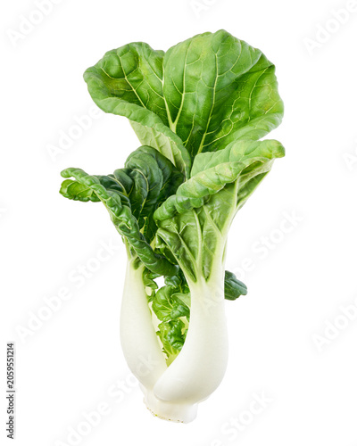 Foto Fresh white stem cabbage isolated on transparent background with clipping path