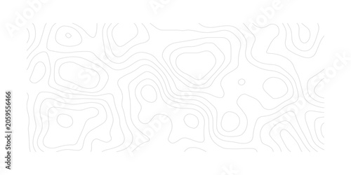 Canvas-taulu Cartography Inspired Seamless Topographic Design with Flowing Terrain Contours
C