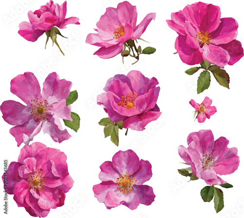 collage of pink flowers