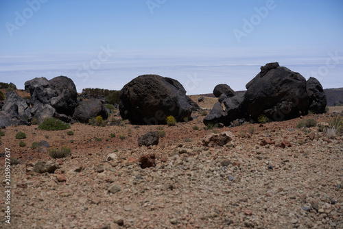 Fotografie Scattered lava bombs on Teide slope