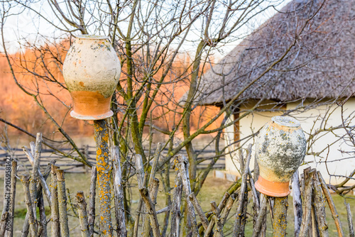 Old clay pots hanging on a dry branch