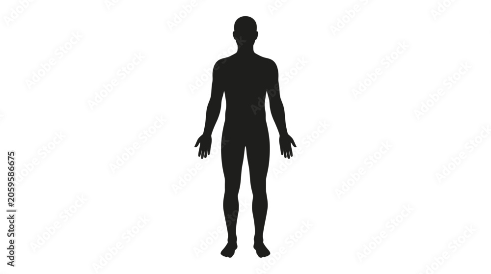 © Biru - Male human body silhouette standing in anatomical position © Biru - Male human body silhouette standing in anatomical position