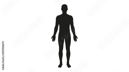 Fotografie Male human body silhouette standing in anatomical position