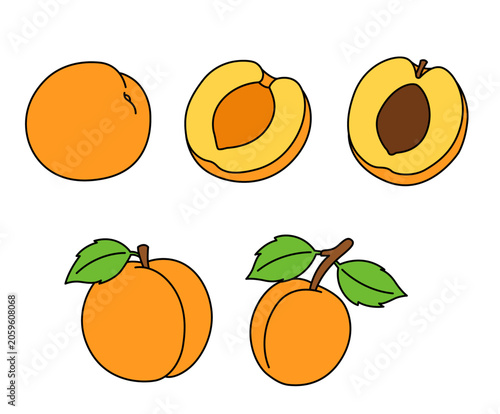 Tableau sur toile Apricot set2