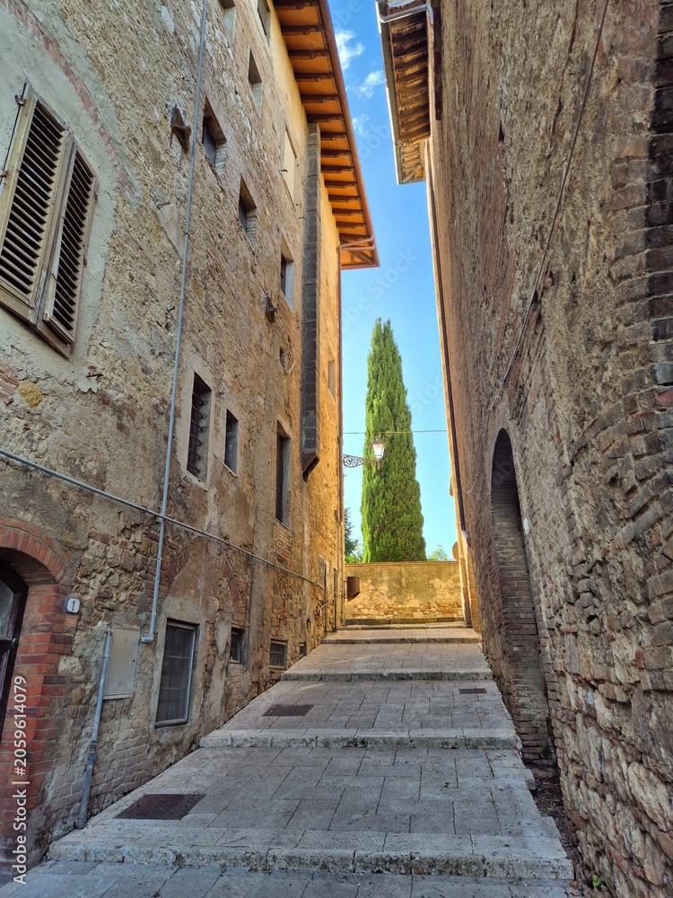 Fototapeta premium Cypress tree in Tuscany, Italy, seen from a medieval alley and stone stairs