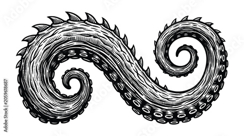 Vintage vector ornamental swirl design with ink flourish.