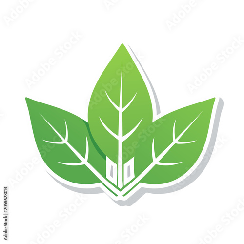 Green Leaf Icon with Transparent Background