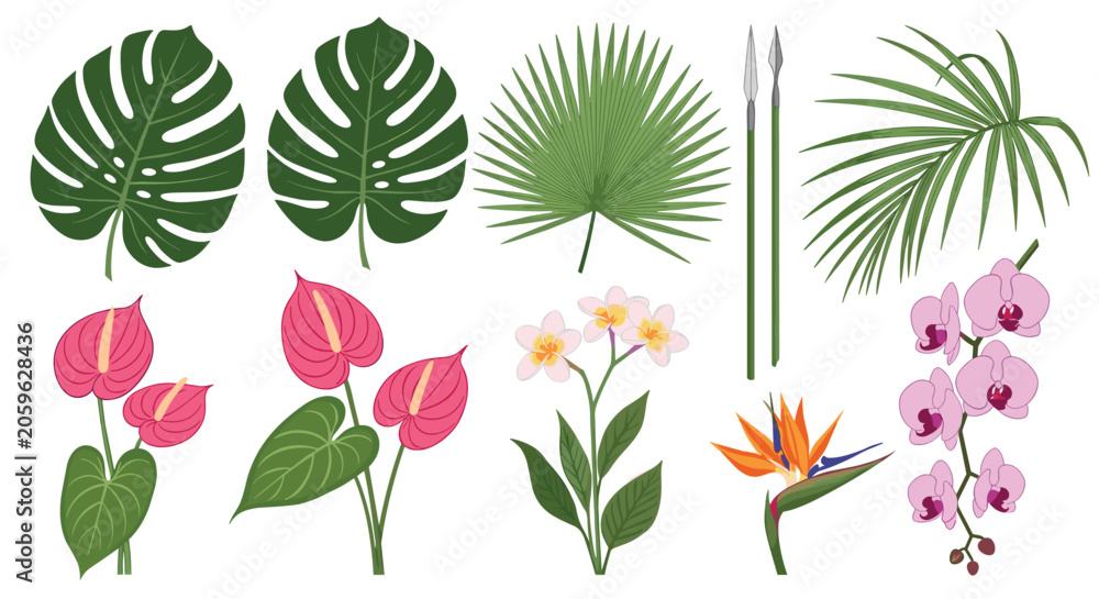 Fototapeta premium Tropical botanical collection features various lush green palm leaves and exotic flowers such as orchids, bird of paradise, and pink anthuriums.