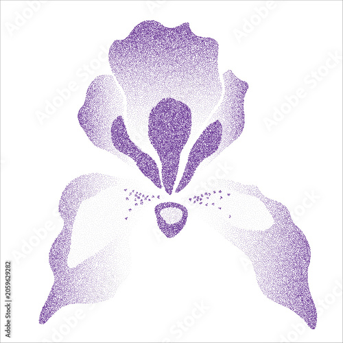 Purple Iris Flower Illustration in Dotwork Style