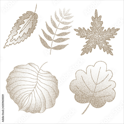 Botanical Leaf Set in Monochrome Dotwork Style