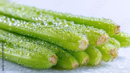 Freshly washed green vegetable stalks are covered in glistening droplets of water