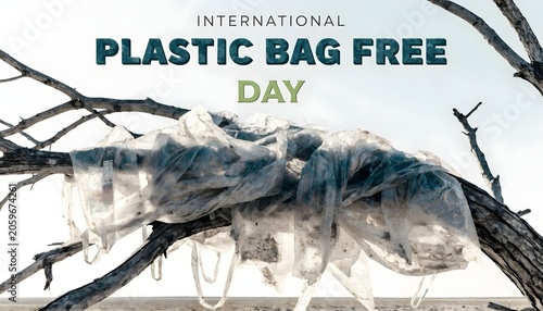 Tangled Mass of Degraded Transparent Plastic Bags on Tree Branches