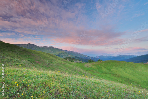 Beautiful green hills and alpine meadows under a scenic sunset sky with pink clouds. Picturesque mountain valley landscape