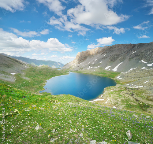 Serene Alpine Panorama: Crystal Lake Amidst Wildflowers and Majestic Peaks