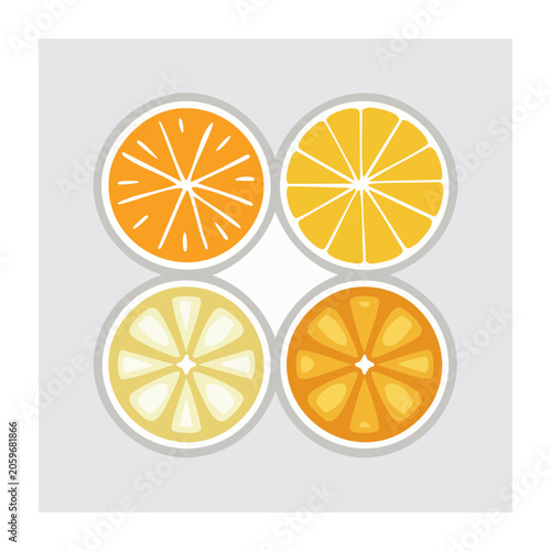 Flat Design Citrus Fruit Slices Illustration