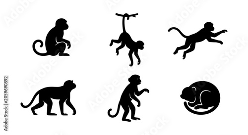 Canvas Print Monkey Silhouettes Vector Set: Primate Poses, Jungle Animals, Wildlife Icons