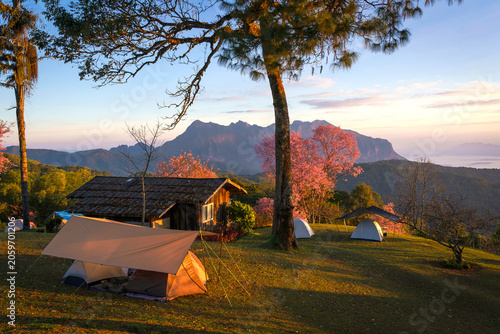 Doi Luang Chiang Dao Mountain and Cherry Blossom with Campsite Moning Sunrise, Chiang Mai Thailand