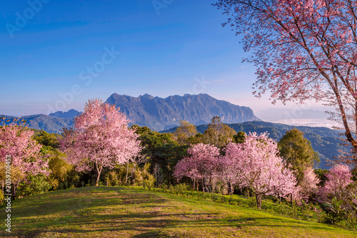 Doi Luang Chiang Dao Mountain Morning Sunrise, Chiang Mai Thailand