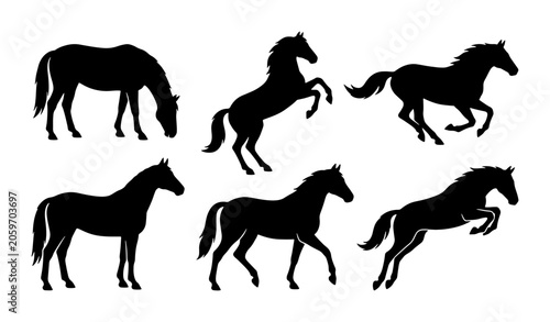 Quadro su tela Diverse Horse Silhouettes Collection: Galloping, Rearing, Grazing Equine Poses V