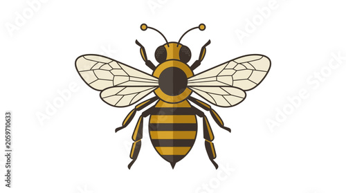 Fotografi Detailed illustration of a honey bee.