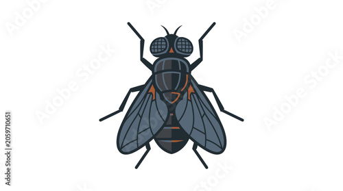 Insect Fly Closeup Grey Wings.