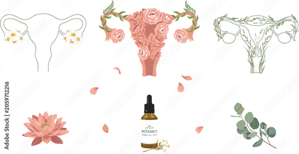 Fototapeta premium Anatomy of Female Reproductive System and Floral Uterus Vector Icon Set with Organic Essential Oil and Botanical Flowers for Women Health Designs
