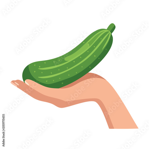 Hand holding a fresh green cucumber illustration
