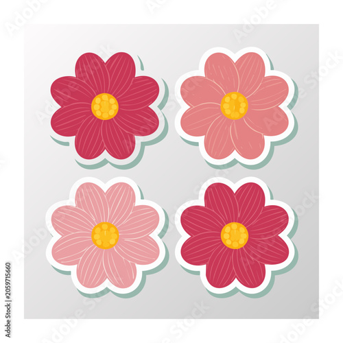 Four colorful daisy flower stickers in flat design