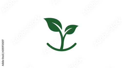 Konstfotografi Green plant sprout with leaves growing.