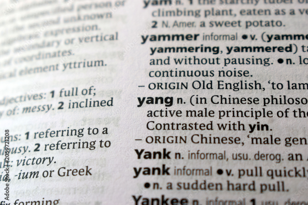 Fototapeta premium Definition Of English Dictionary Close Up Of Page With Word - yong