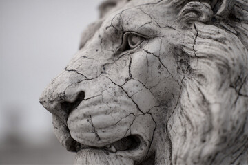 Macro close-up of ancient marble lion with weathered stone texture. Cool monochrome tones and HDR details under soft overcast light create a solemn historical atmosphere. Right copy space ideal...