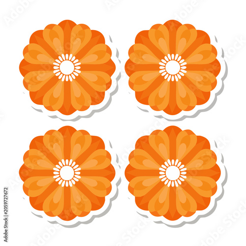 Orange Flower Illustration with Transparent Background