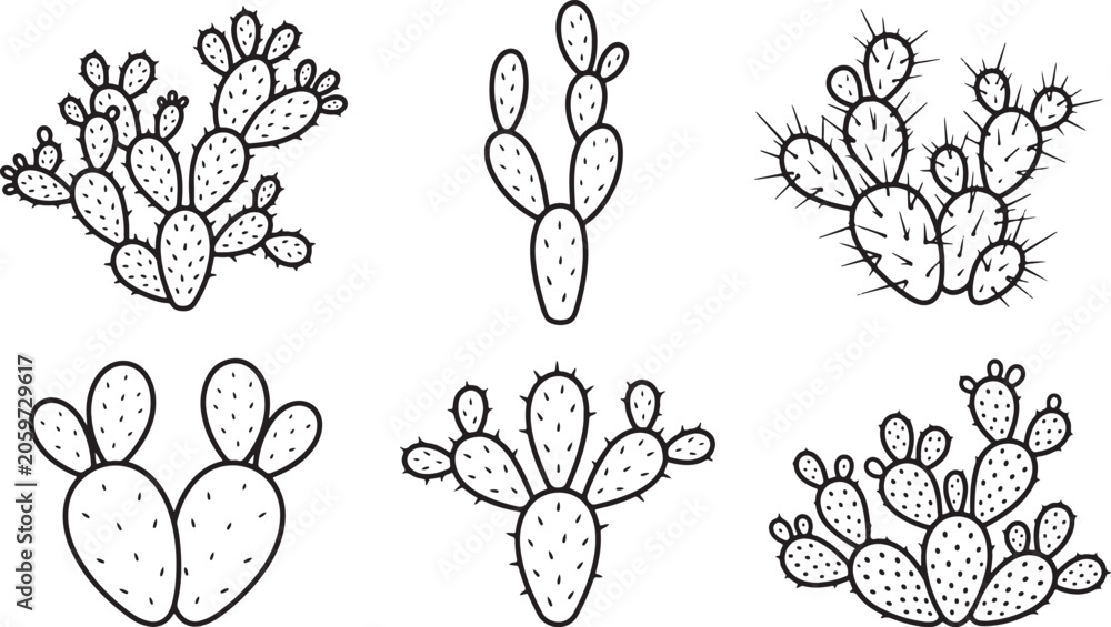 Fototapeta premium Six distinct black and white line of prickly pear cacti, each with unique arrangements of pads and spines