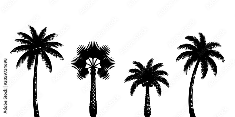 Fototapeta premium Palm Trees in a Row Each with Unique Shapes and Silhouettes Featuring Tropical, Nature, Plants with Tropical Plants and Beach Elements for Vacation