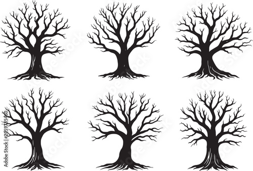 Six silhouetted bare trees with intricate branching and exposed roots on white background branches