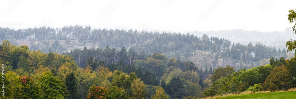 Obraz premium panorama landscape of forest tree hills and mountains in autumn. far away foggy trees landscape isolated on white or transparent png