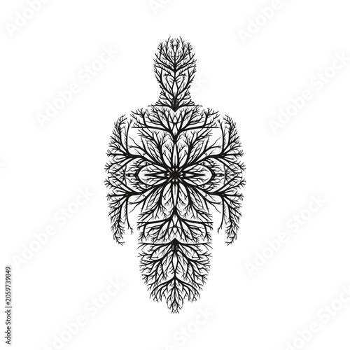 Symmetrical black human silhouette composed of intricate branching tree and root patterns isolated on a white background, conceptual vector illustration of anatomy and nature.
