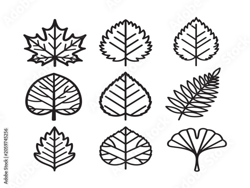 Collection of Detailed Leaf Outlines in Minimalist Line Art Vector Illustration