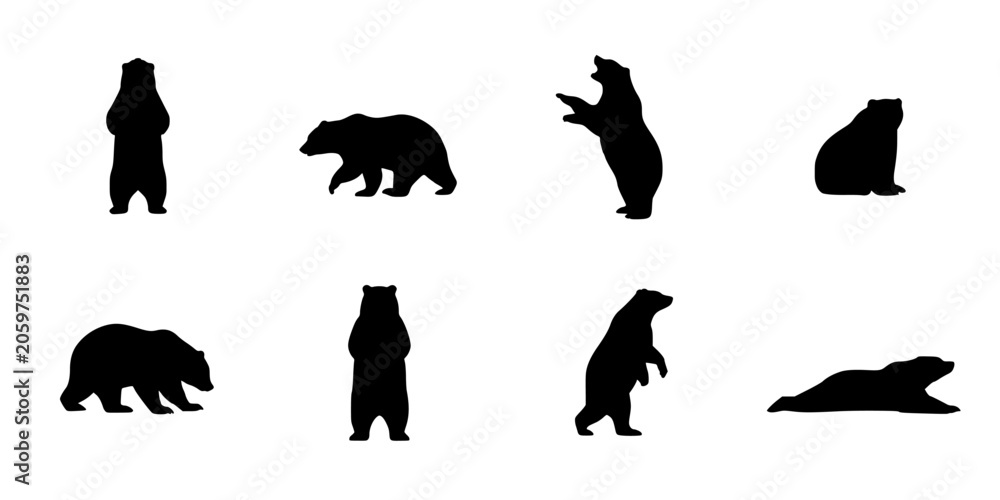Fototapeta premium Bears in Various Poses and Positions as Black Silhouettes on a White Background Featuring Bear, Silhouette, Animal with Wildlife and Nature Elements