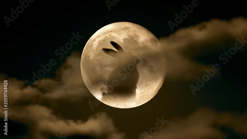 rabbit and moon,Mid-Autumn festival