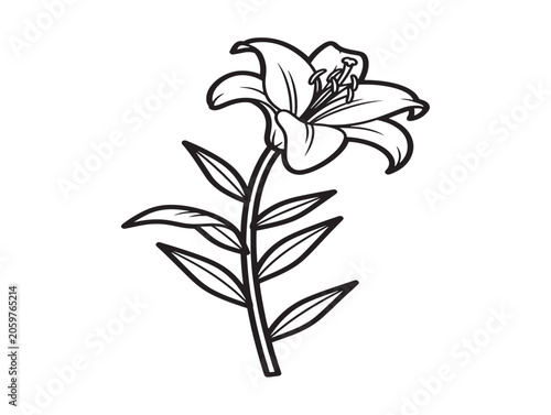 Lily Flower Silhouette Line Art Illustration