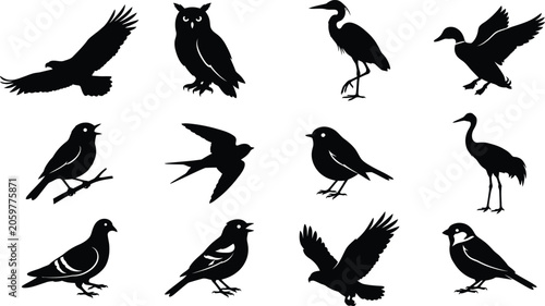Bild auf Leinwand Black bird silhouette collection featuring flying, perched, and wading species including owl, heron, duck, pigeon, and songbirds for wildlife, nature, and design illustration