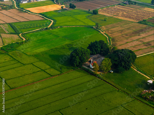 Quadro su tela Aerial farmland with farmhouse cluster surrounded by trees