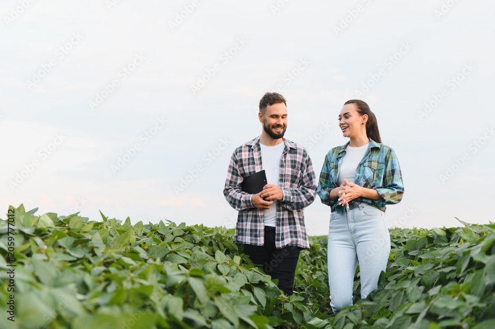 Fototapeta premium Two farmers discussing in a soybean field during a sunny day