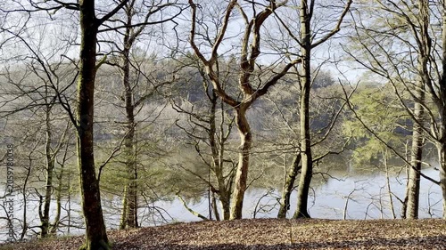 View over Hald Lake from Dollerup bakker, Viborg, Denmark. Tree row avenue at Hald lake. Heather lands. The Manor House of Hald in Dollerup, beautiful location of this historical building. Forest